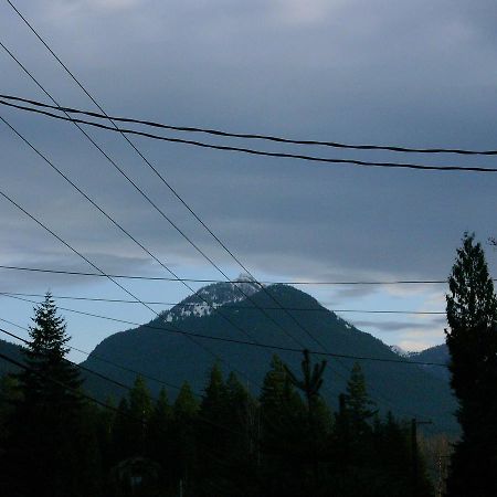 Mountain View Lodge - No Pets Allowed Packwood Extérieur photo
