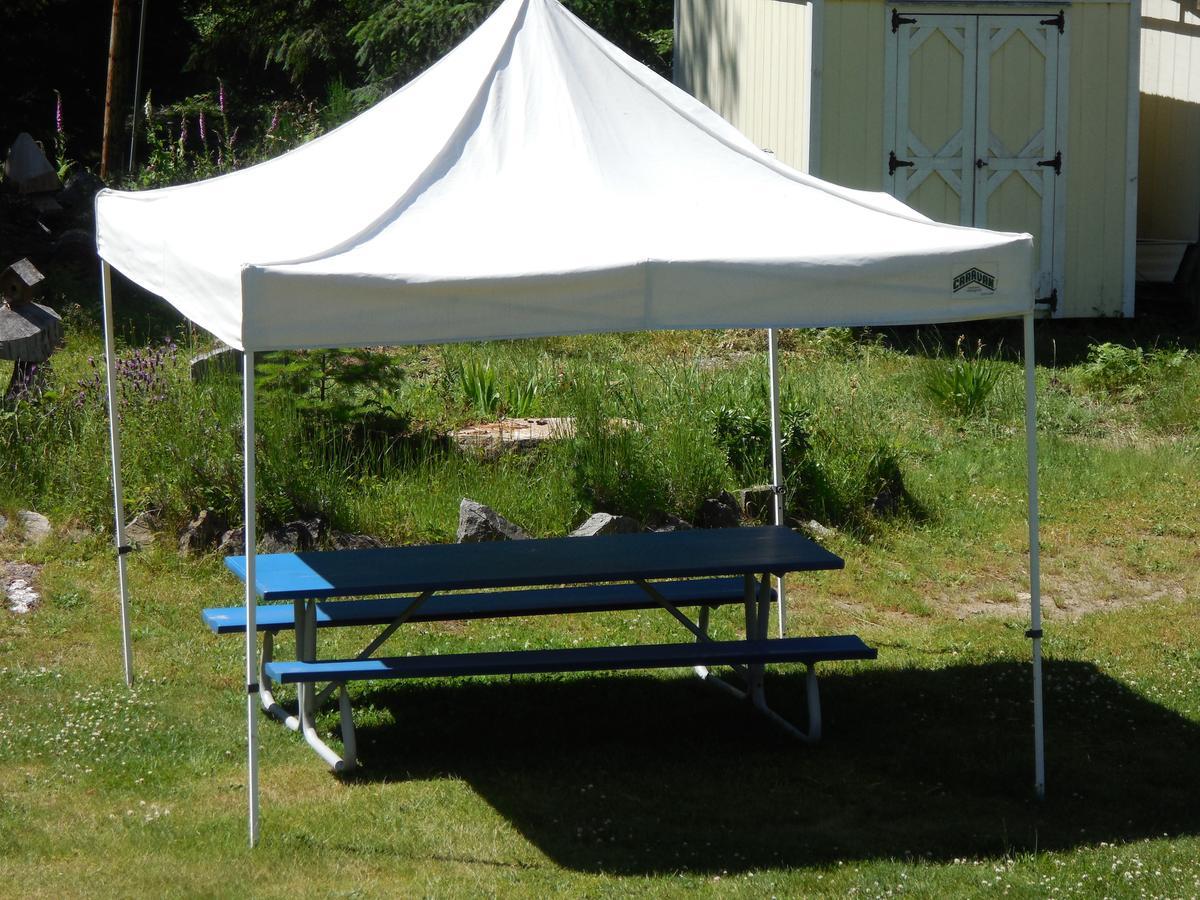 Mountain View Lodge - No Pets Allowed Packwood Extérieur photo